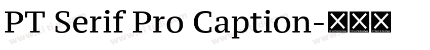 PT Serif Pro Caption字体转换